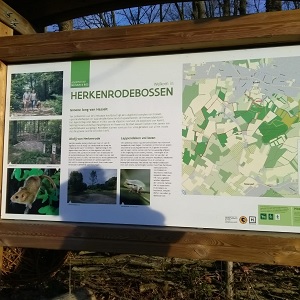 Kwartetje wandeling in het Herkenrodebos