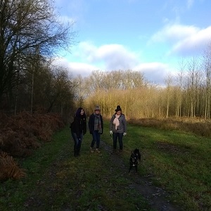 Kwartetje wandeling in het Herkenrodebos