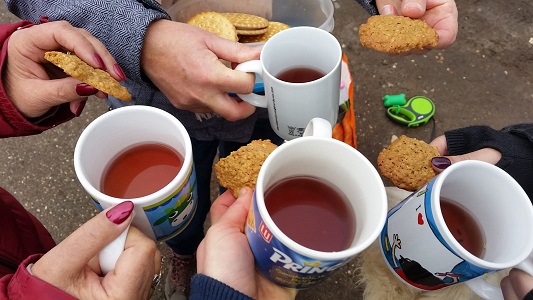 Kwartetje wandeling in het Herkenrodebos